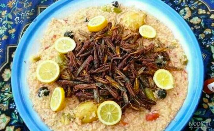 انواع سوسک انواع سوسک
