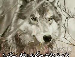 اهنگ خارجی با زوزه گرگ