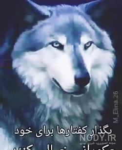 اهنگ ریمیکس زوزه گرگ