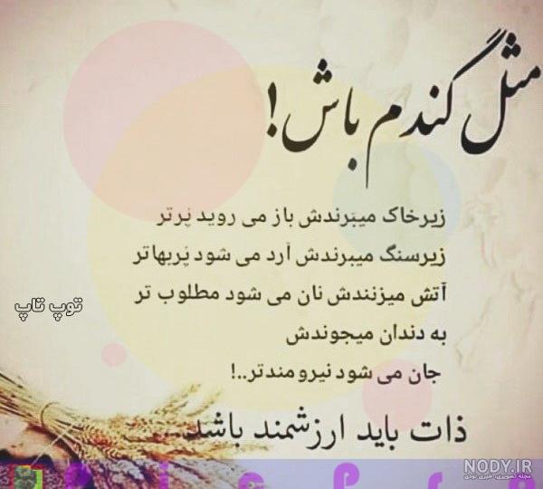 بد ذات کیست