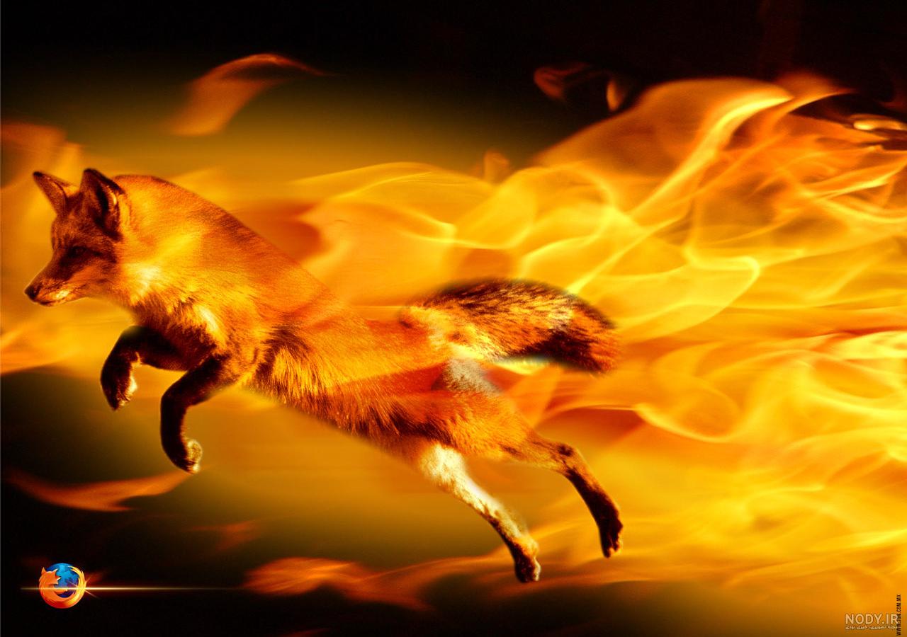 برنامه firefox چیست