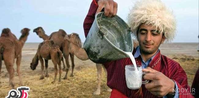 بهترین زمان مصرف دوغ شتر