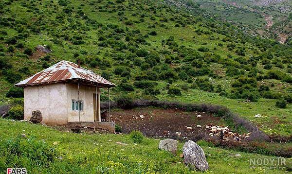تصاویر زیبا طبیعت مازندران تصاویر زیبا طبیعت مازندران