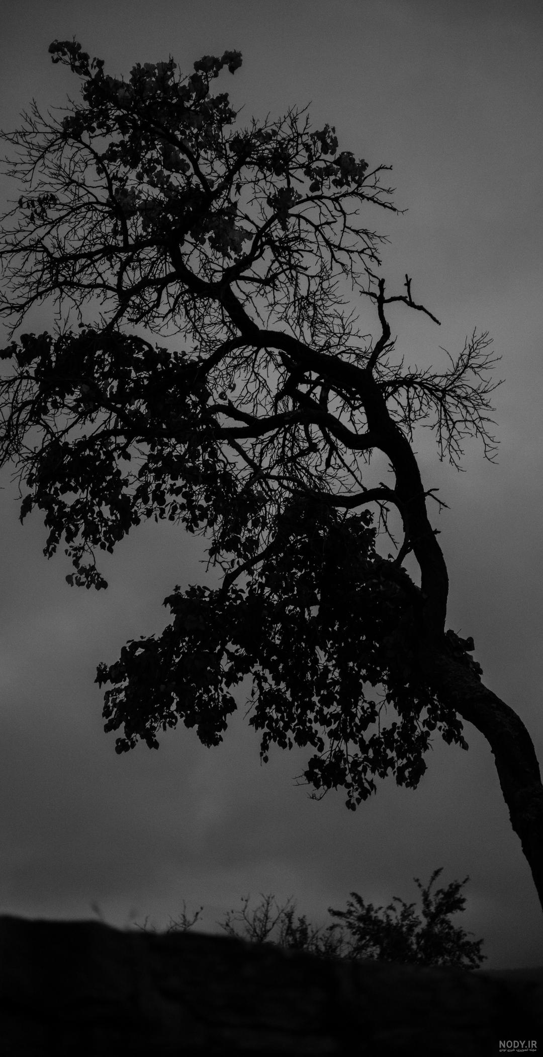 تصویر زمینه تاریک خفن تصویر زمینه تاریک خفن