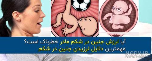 جای جنین در شکم مادر در جدول