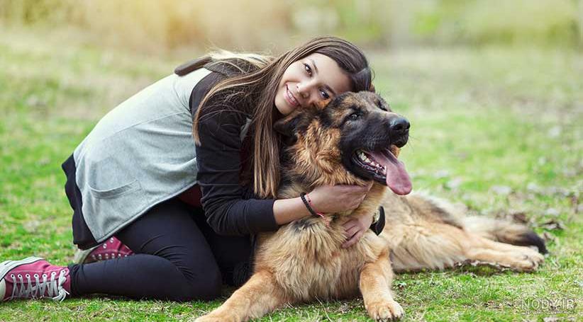 جنگ سگ ژرمن با ببر جنگ سگ ژرمن با ببر