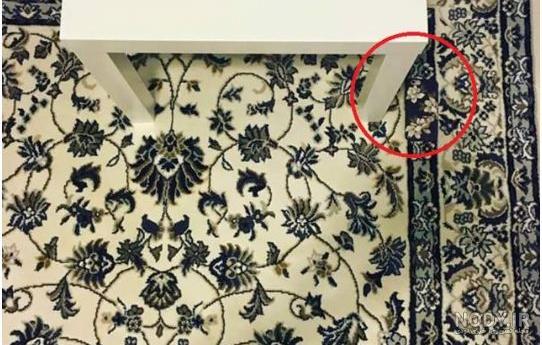جواب معما موش را پیدا کنید جواب معما موش را پیدا کنید