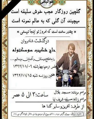 خداحافظ سوسک توله