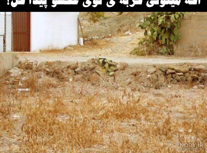 خرس را در تصویر پیدا کنید خرس را در تصویر پیدا کنید