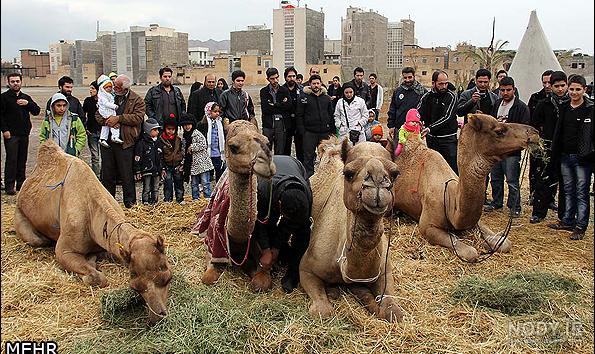 شرح واقعه عاشورا در تاریخ طبری