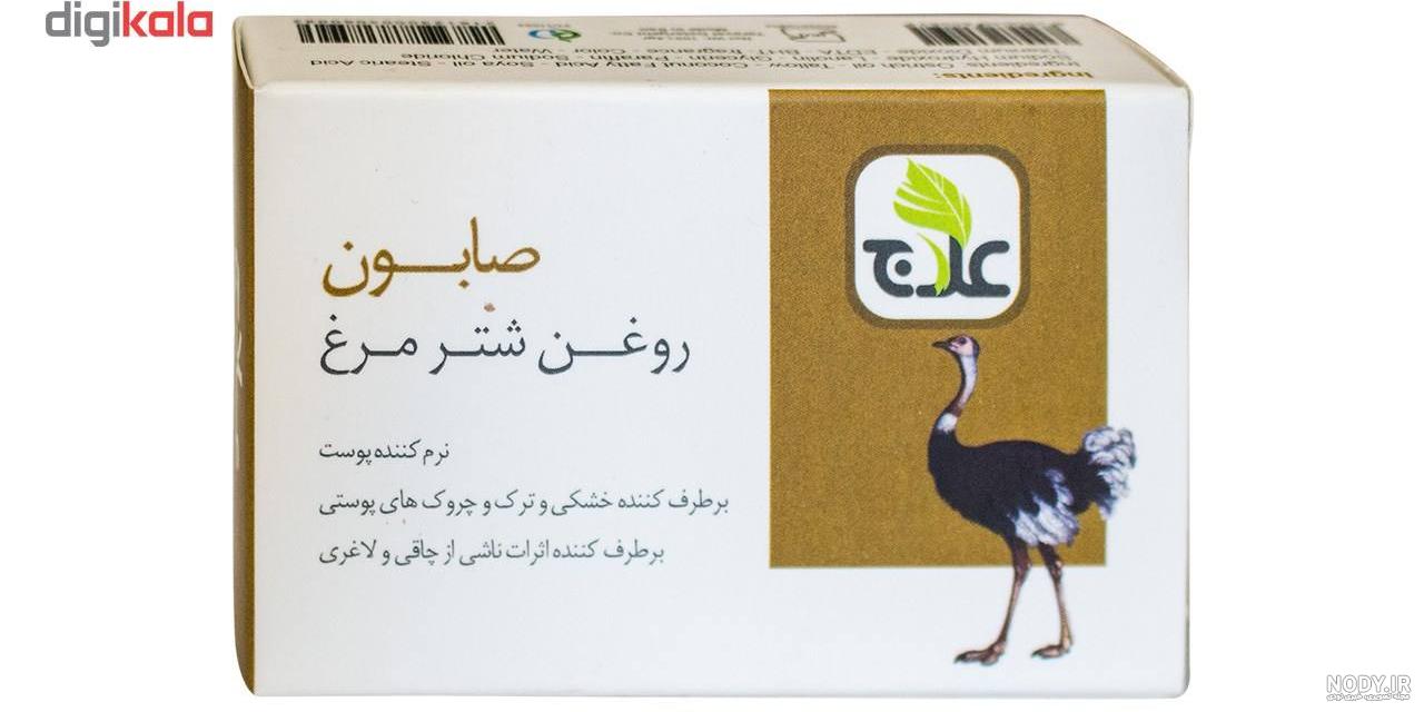 طبع دوغ شتر