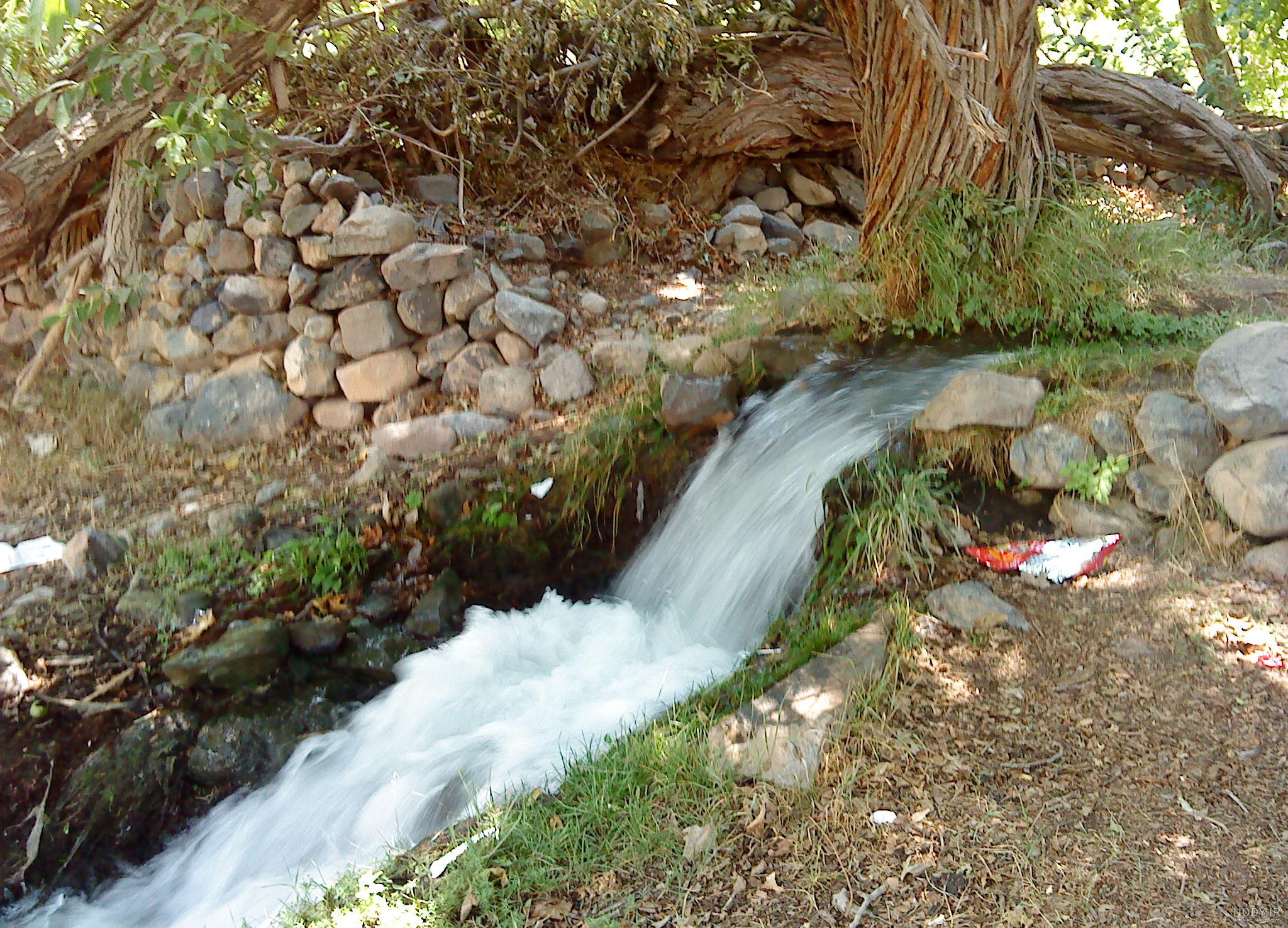 عکس از طبیعت عکس از طبیعت