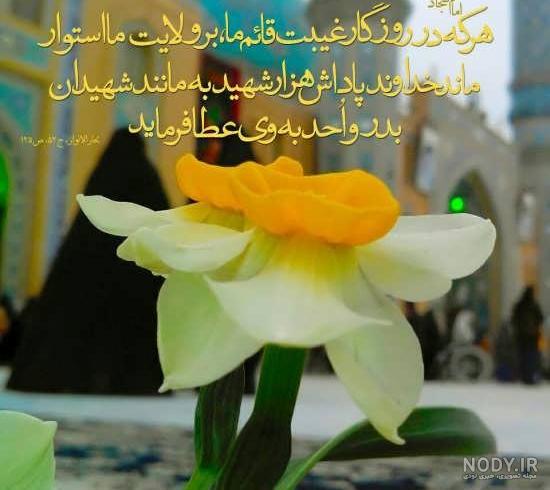 عکس امام زمان در کربلا