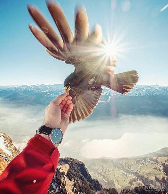 عکس دپ دخترونه شاخ بدون متن
