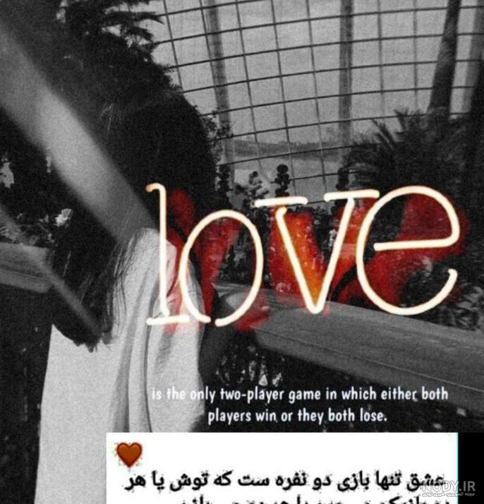 عکس رل شاخ