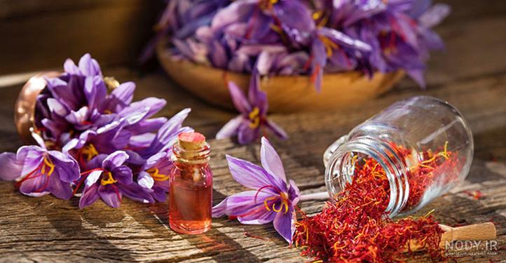 عکس زعفران پوشال عکس زعفران پوشال