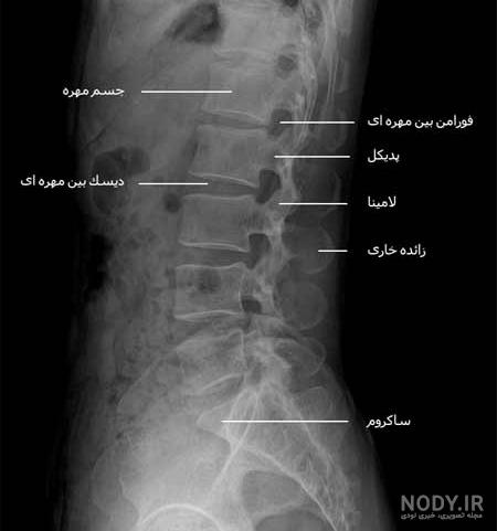 عکس ساده کمر