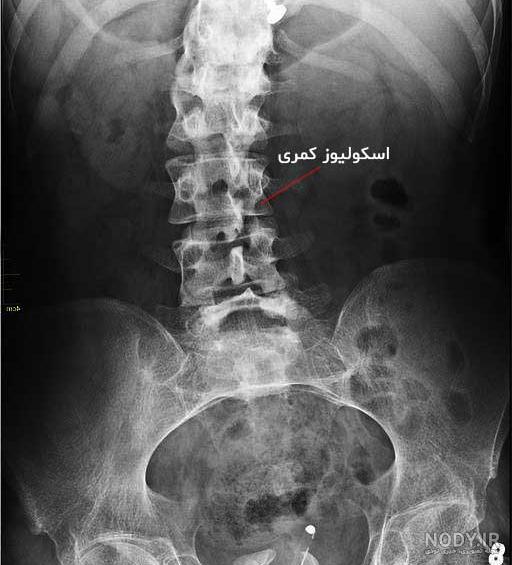 عکس سبز کمرنگ ساده