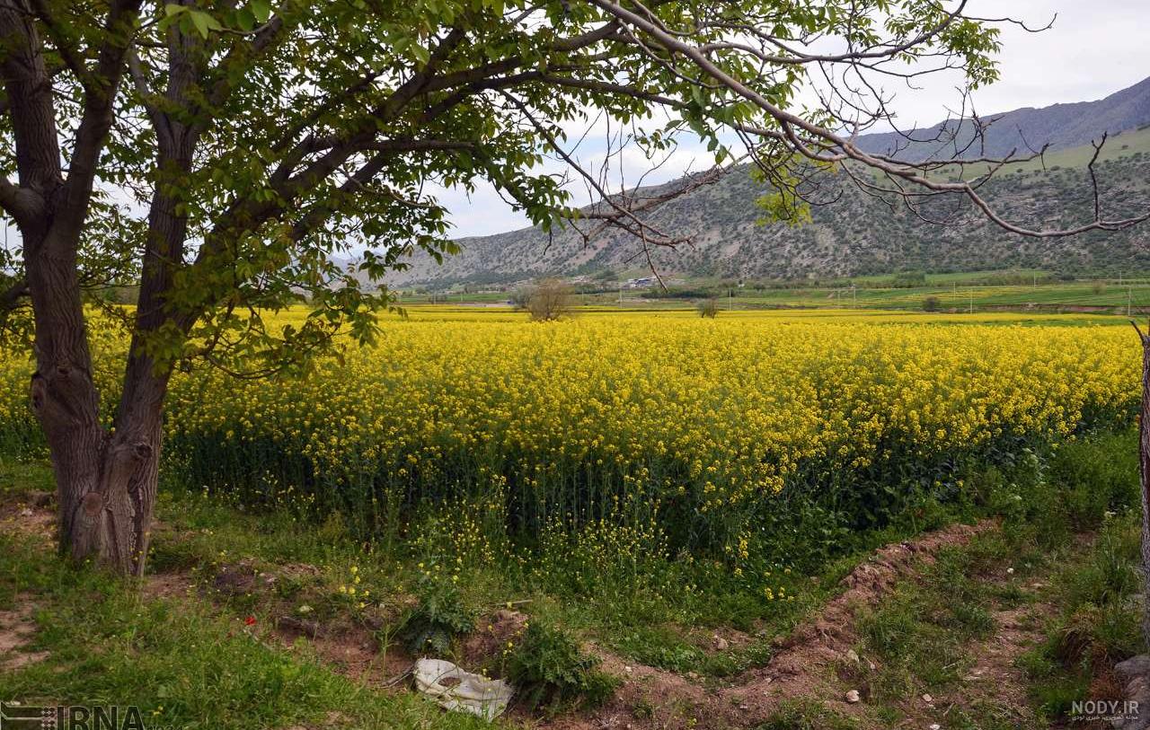عکس طبیعت بهاری ایران