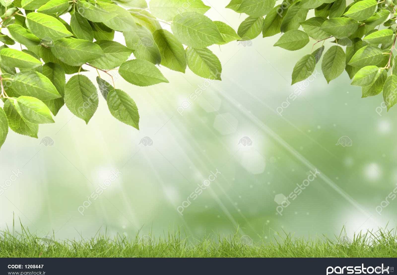 عکس طبیعت در ظهر