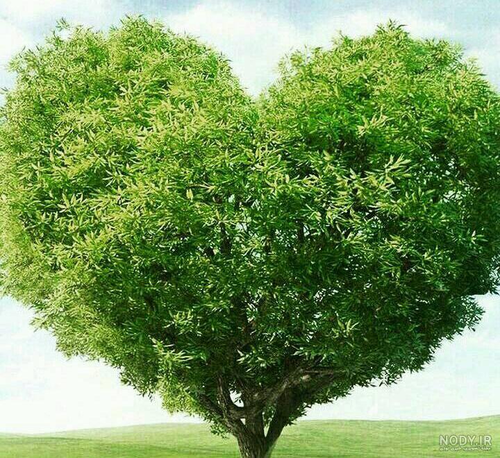 عکس طبیعت زیبا اینستاگرام