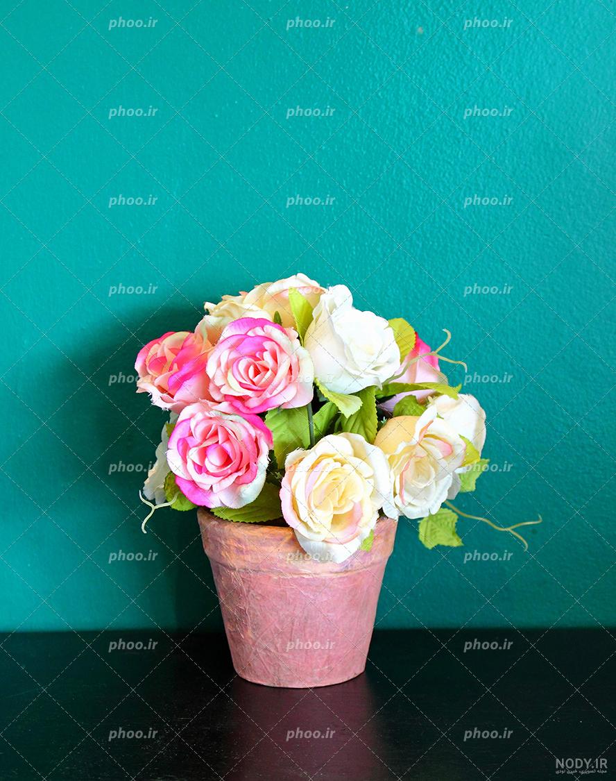 عکس عاشقانه گل رز عکس عاشقانه گل رز