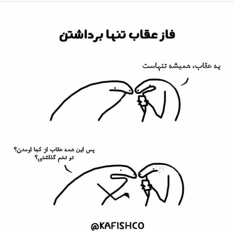 عکس عقاب با جفتش عکس عقاب با جفتش