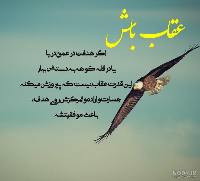 عکس عقاب وحشی ترسناک عکس عقاب وحشی ترسناک