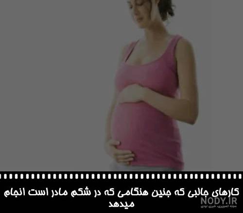 عکس مراحل رشد جنین