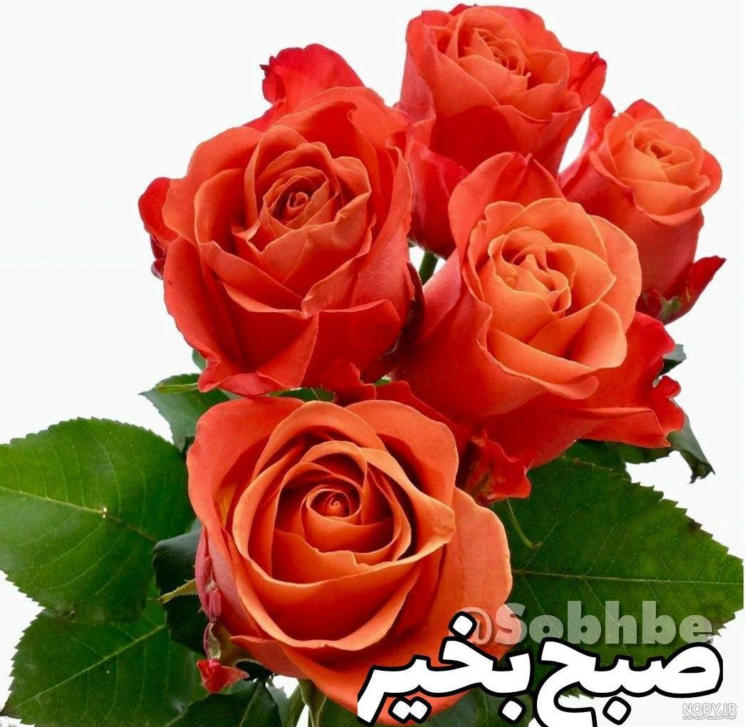 عکس نوشته سلام صبح بخیر خدایی