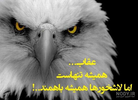 عکس نوشته یک عقاب همیشه تنهاست عکس نوشته یک عقاب همیشه تنهاست