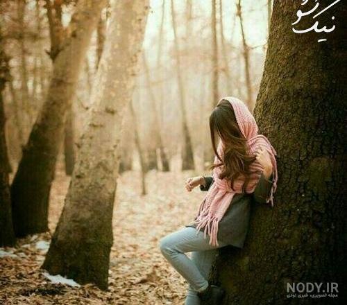 عکس های هنری از انار