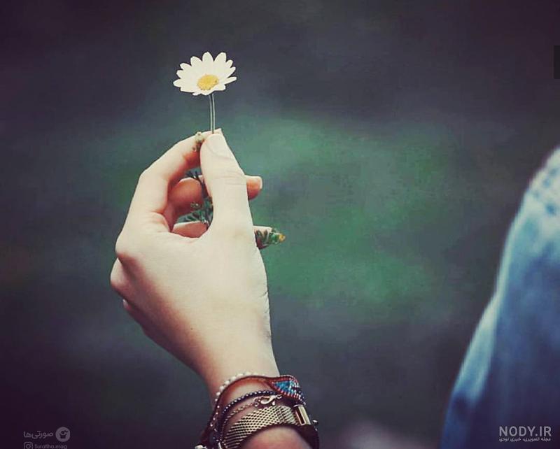 عکس های هنری و خلاقانه