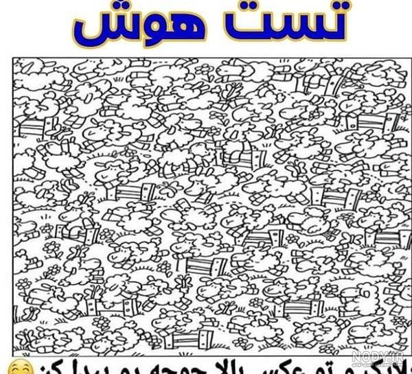 عکس پیدا کن و بگو عکس پیدا کن و بگو