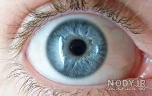 عکس چشم و ابرو زیبا بدون آرایش عکس چشم و ابرو زیبا بدون آرایش