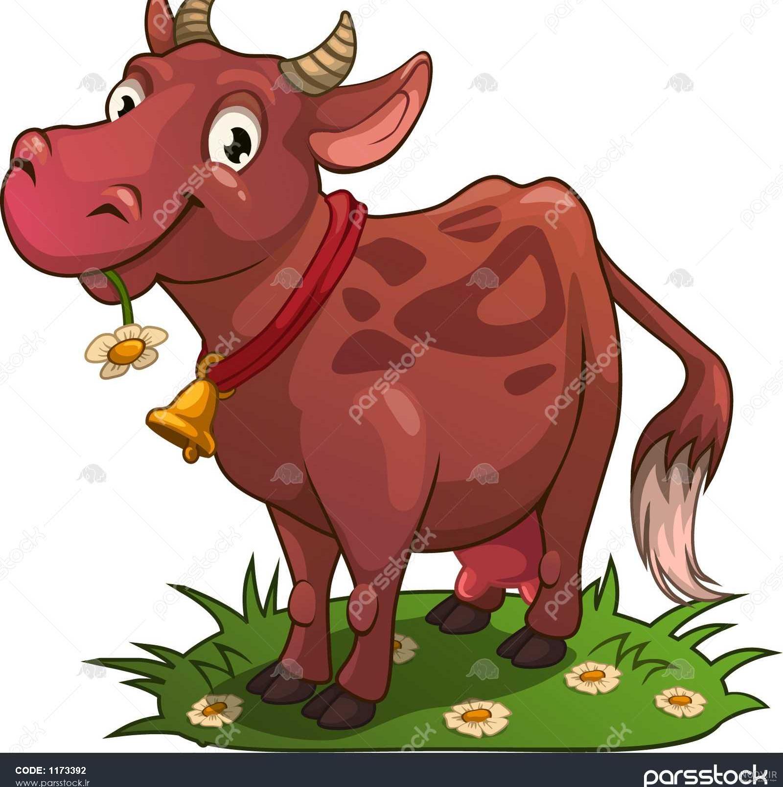 عکس گاو خندان عکس گاو خندان