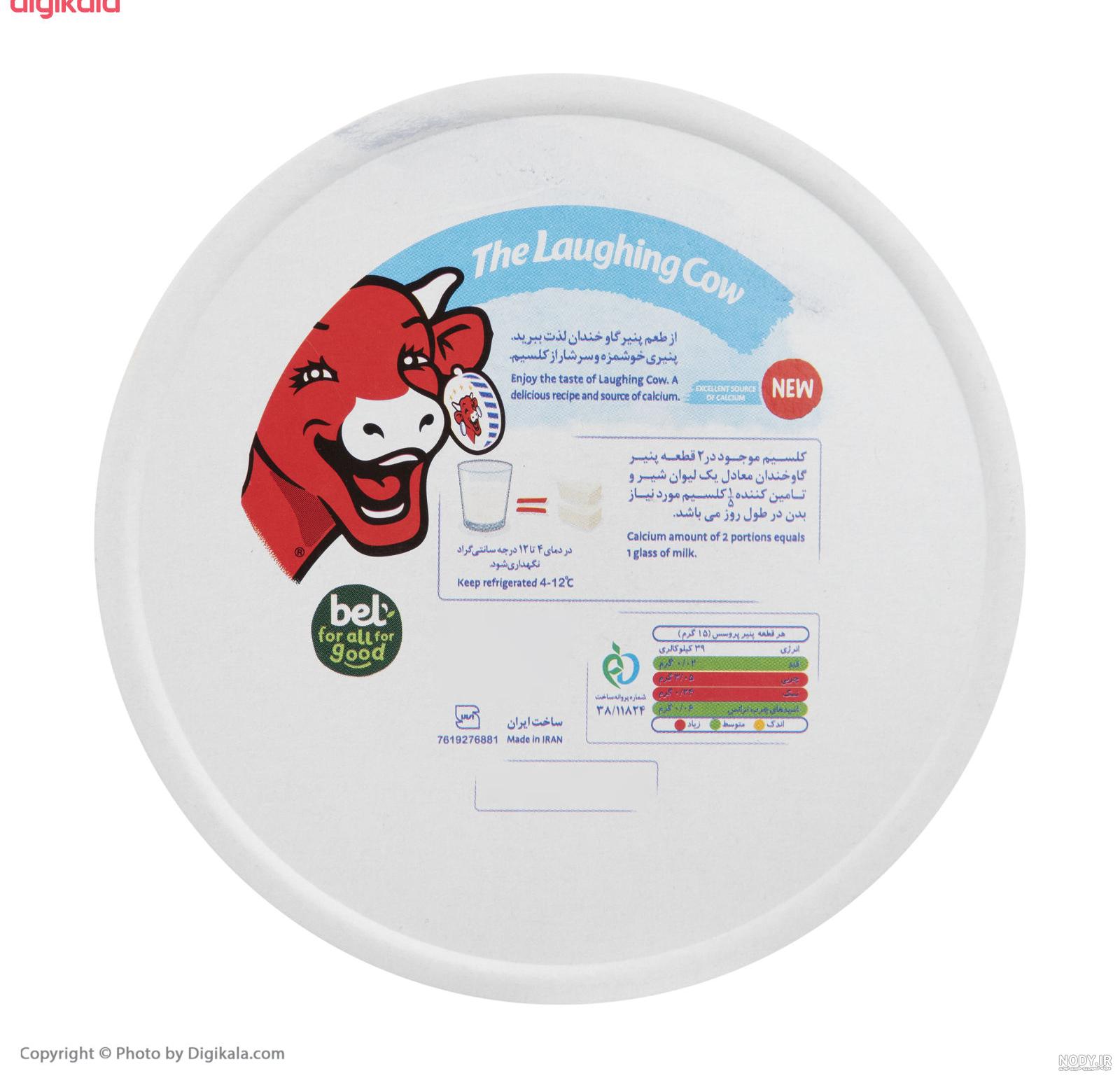 عکس گاو فانتزی عکس گاو فانتزی