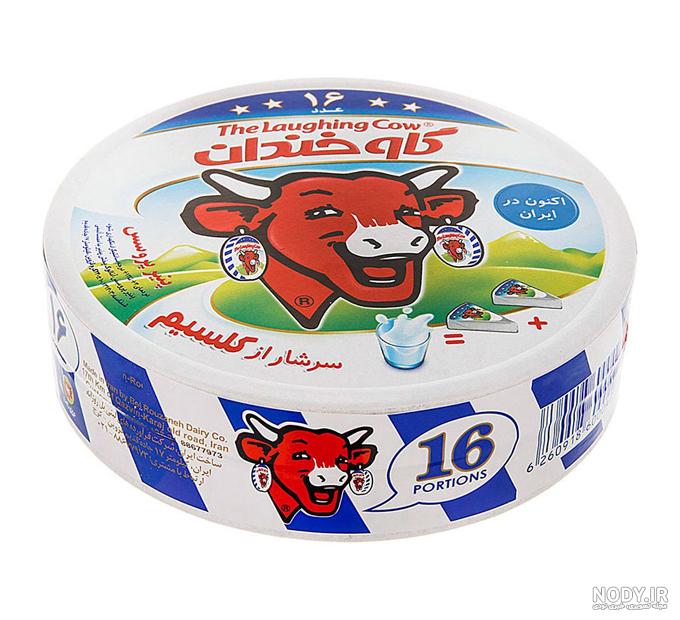 عکس گاو و گوساله عکس گاو و گوساله