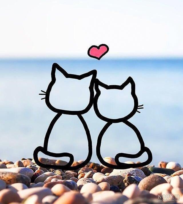 عکس گربه کوچولو بامزه عکس گربه کوچولو بامزه
