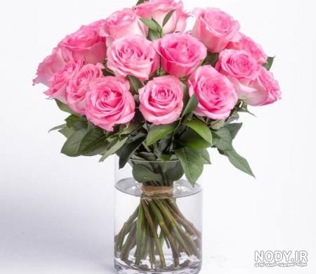 عکس گل سفید با زمینه مشکی عکس گل سفید با زمینه مشکی