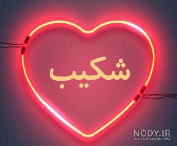 فیلم شکیب و فریال فیلم شکیب و فریال