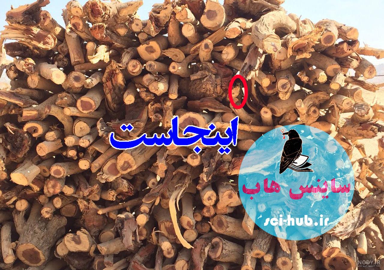 معما تصویری بگرد و پیدا کن با جواب معما تصویری بگرد و پیدا کن با جواب