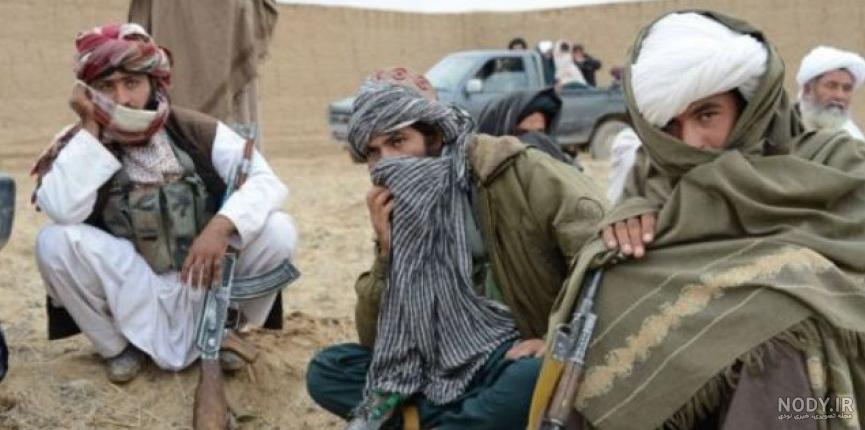 نورزایی ها نورزایی ها