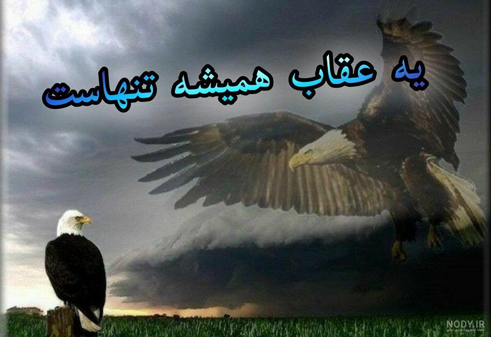 وزن عقاب وزن عقاب
