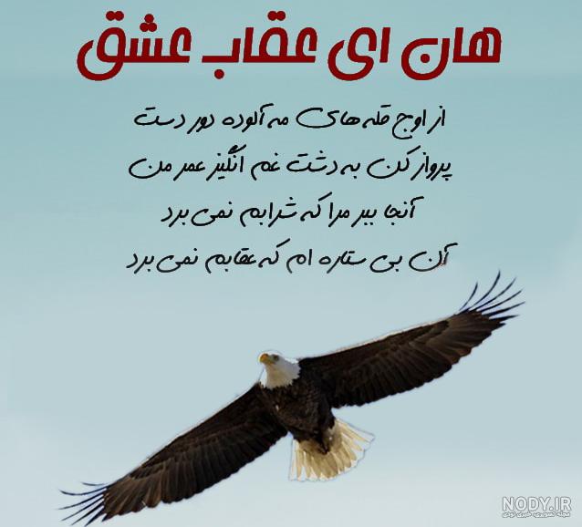 وزن عقاب وزن عقاب