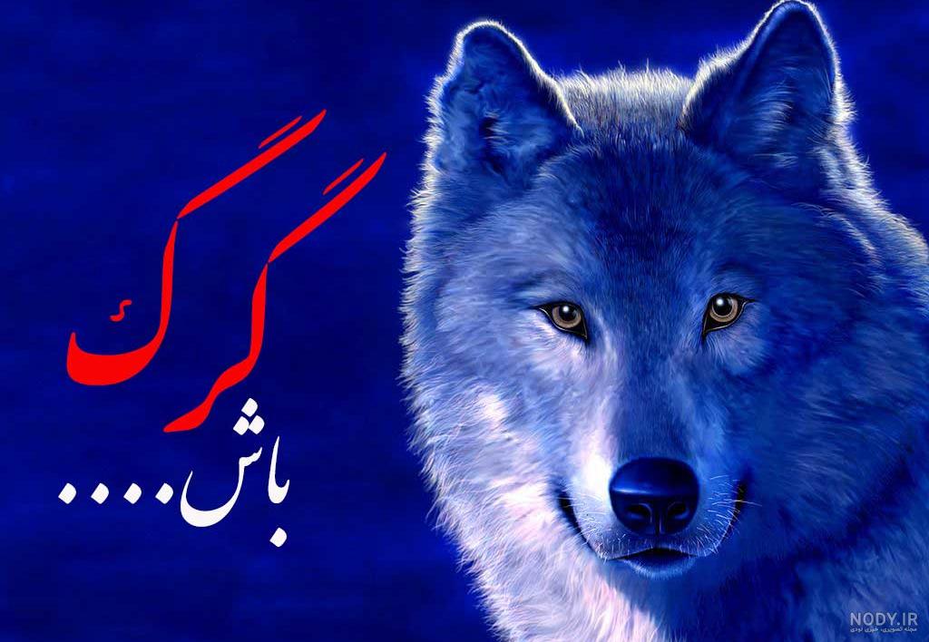 وضعیت واتساپ غمگین گرگ