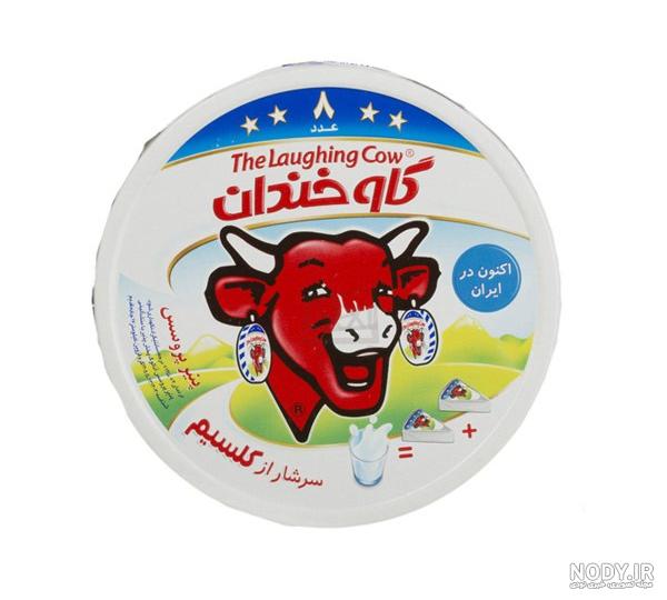 پنیر گاو خندان چیست پنیر گاو خندان چیست