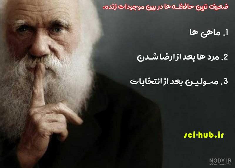 کلیپ خنده دار اسم لیلا کلیپ خنده دار اسم لیلا