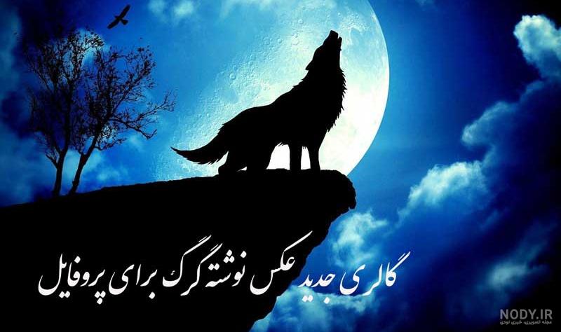 کلیپ گرگ زخمی