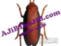 آدامس شوخی آدامس شوخی